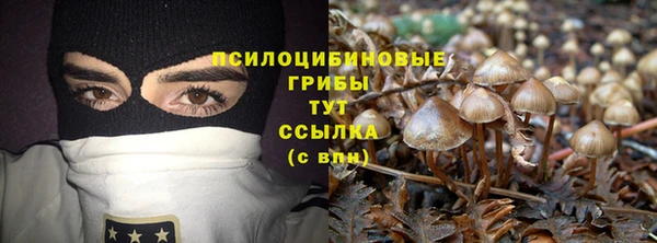 ПСИЛОЦИБИНОВЫЕ ГРИБЫ Нягань